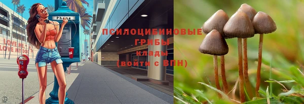 трава Арсеньев