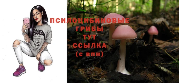 экстази Армянск