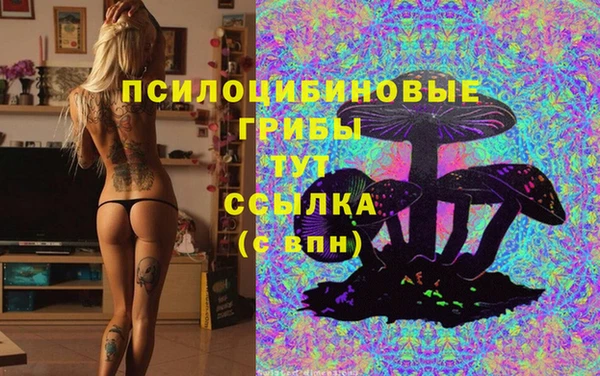 трава Арсеньев