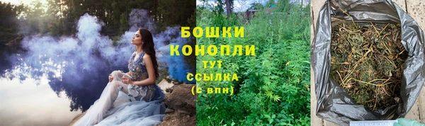 трава Арсеньев